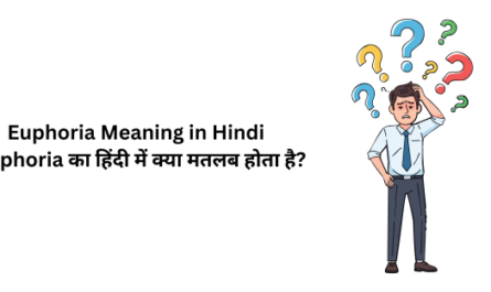 euphoria meaning in hindi